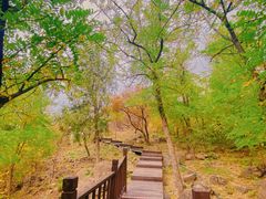 -北京十三陵国家森林公园蟒山景区