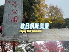 -龙头寺公园