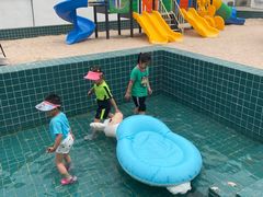 -向外鱼乐·土菜·虹鳟鱼