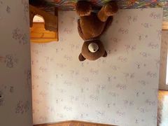 -金山农民画村-枫泾波兰倒置屋