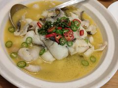 -海派美食·家宴海鲜青岛菜·石锅鲽鱼头(东方城店)