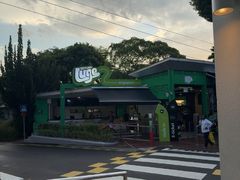 -圣淘沙天际线斜坡滑车