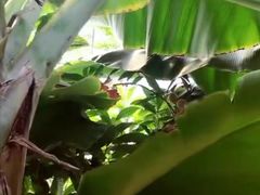 -北戴河集发农业梦想王国