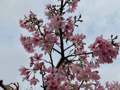 -聚龙山公园