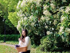 -LESCEDARS Brasserie Bistro香柏树