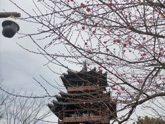 -杭州半山国家森林公园