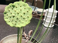 -大拙里·精致融合菜(沙湖桃源国际店)