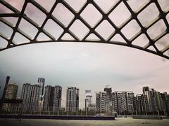 -华润深圳湾体育中心-“春茧” 体育馆