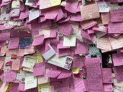 -雨霖祥和炖肉(南市店)