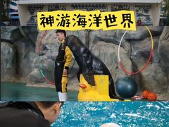 -威海华夏城景区