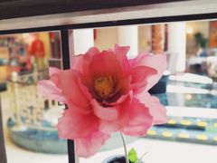 -北京前门建国饭店