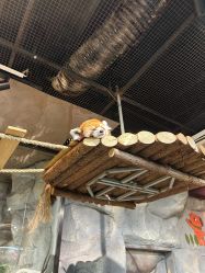 -Zoolung Zoolung动物主题公园(海信广场店)