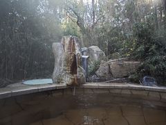 -徂徕山森林康养度假谷温泉