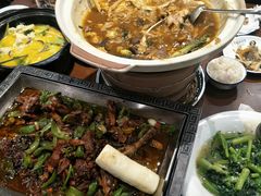 -邵年鸽(杨庄店)