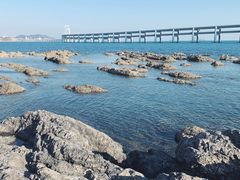 -黑石礁公园