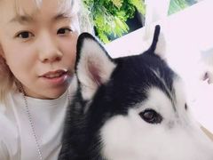 -Husky Go! 哈士奇体验馆·宠物咖啡厅狗咖