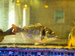 -巽寮印象美食部落餐厅·海鲜·地方特色菜(惠州体验店)