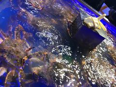 -盒马鲜生(莱蒙都会店)