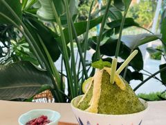 -悦见花开·花园里的火锅·露营·下午茶