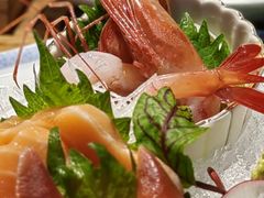 -森味薪火烧•烧鸟居酒屋•日本料理(望京店)