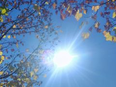 -天津东丽湖风景区