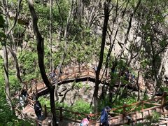 -大岭沟猕猴桃谷风景区