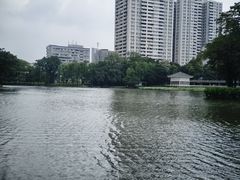 -荔湾湖公园