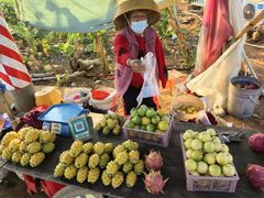-硇洲岛旅游区