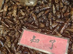 -昆虫窝子·特色云南菜(拓东路总店)