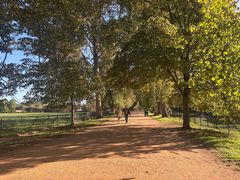 -牛津大学
