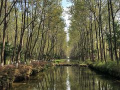 -合肥滨湖国家森林公园