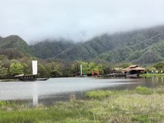 -大九湖