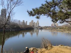 -前关湿地公园