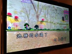 -野妹火锅(龙岗店)