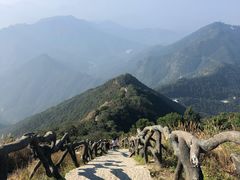 -梧桐山风景名胜区