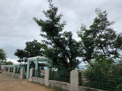 -观象山公园