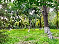 -长白岛森林公园