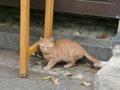 -后襄河公园