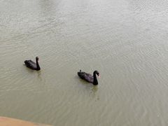 -华东政法大学(松江校区)