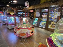 -卡通尼·Safari非洲探索乐园·生日会(金桥国际商业广场店)