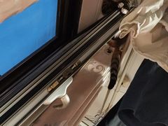 -纳吉亚猫专科动物诊疗中心(蒋宅口分院)