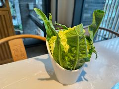 -俏牛哥鲜牛肉牛肆馆(重庆天地店)