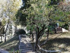 -黄村公园