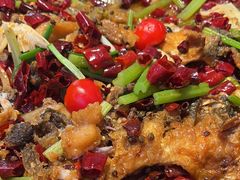 -老板恋上鱼(恒隆广场店)