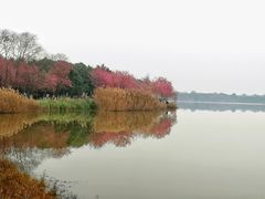 -青龙湖公园