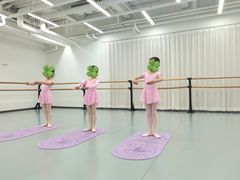 -中央芭蕾舞团·中芭艺蕾(酒仙桥明星校区)