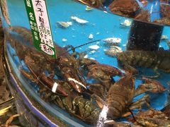 -御唐府海珊瑚主题餐厅