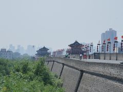 -魏家凉皮(博水商务大厦店)