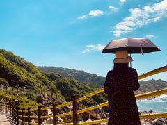 -广东惠东海龟国家级自然保护区