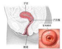 -邢台妇产医院
